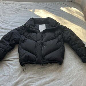 Aritzia Puffer Jacket
